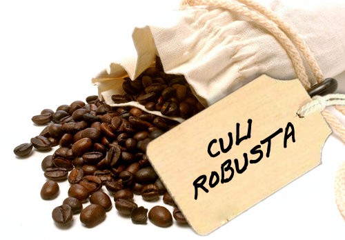  Cafe hạt Culi Robusta