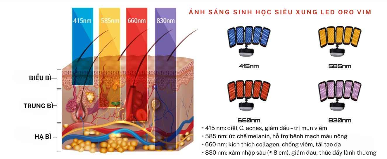 Ánh Sáng Sinh Học Công Suất Cao Oro VIM