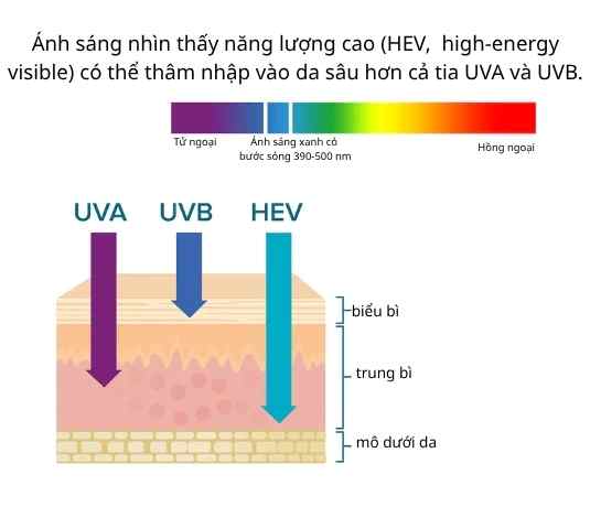 sơ đồ phổ bảo vệ kem chống nắng gồm UVA, UVB v&agrave; &aacute;nh s&aacute;ng khả kiến