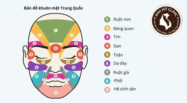 Bí Quyết Phát Hiện Nguyên Nhân Mụn Trên Khuôn Mặt