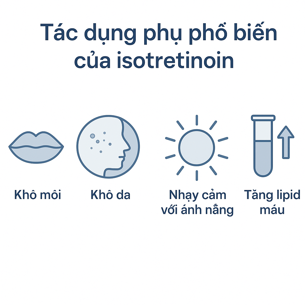 bieu-do-tac-dung-phu-thuong-gap-cua-isotretinoin-2.png Infographic minh họa tác dụng phụ phổ biến của Isotretinoin trong điều trị mụn trứng cá, bao gồm khô môi, khô da và tăng lipid máu nhẹ.