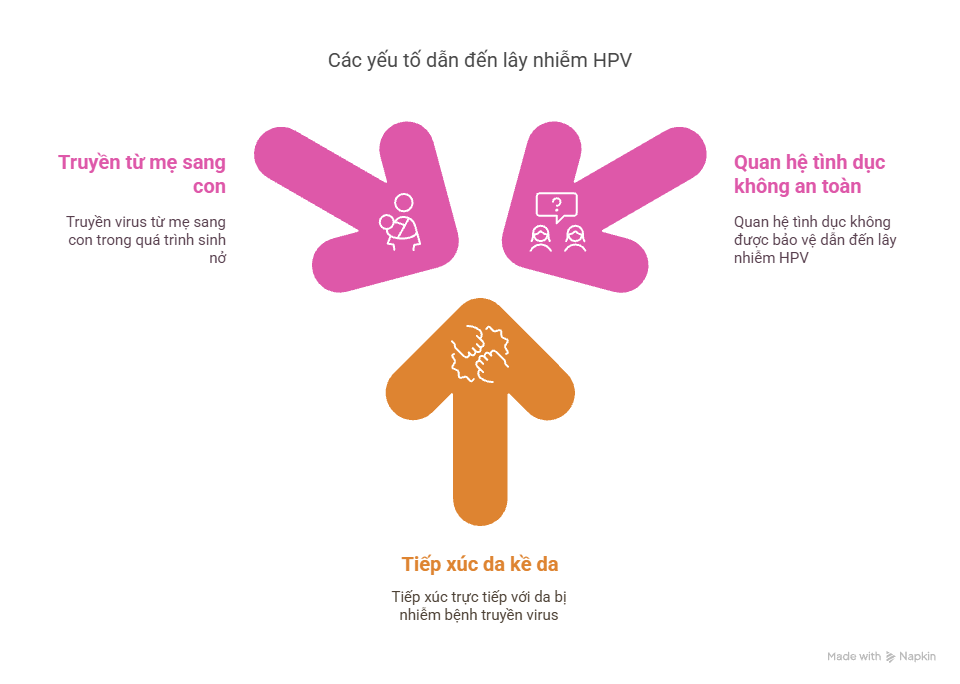 cac-yeu-to-dan-den-lay-nhiem-hpv.png Các Yếu Tố Dẫn Đến Lây Nhiễm HPV