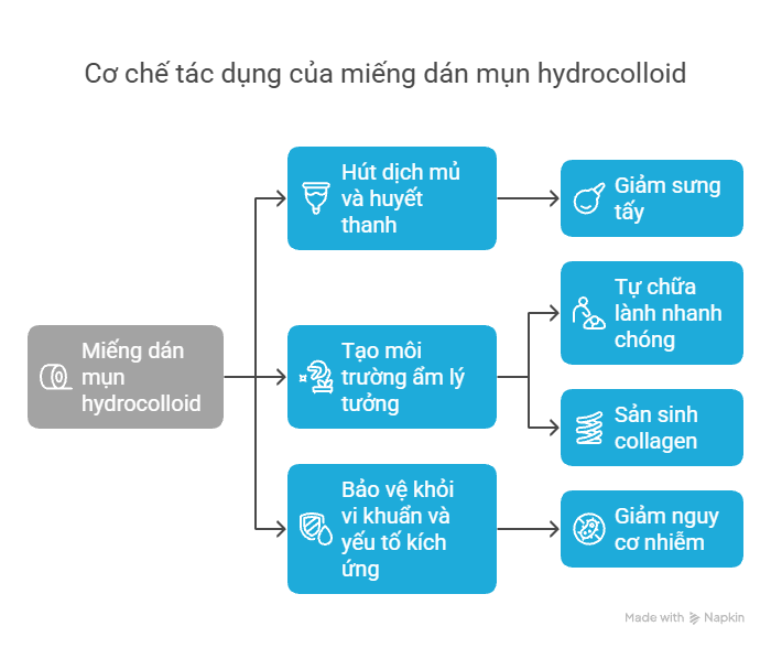 Cơ chế tác dụng của hydrocolloid