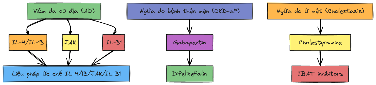 dieu-tri-theo-can-nguyen.png Bản đồ chọn thuốc theo nguyên nhân ngứa.