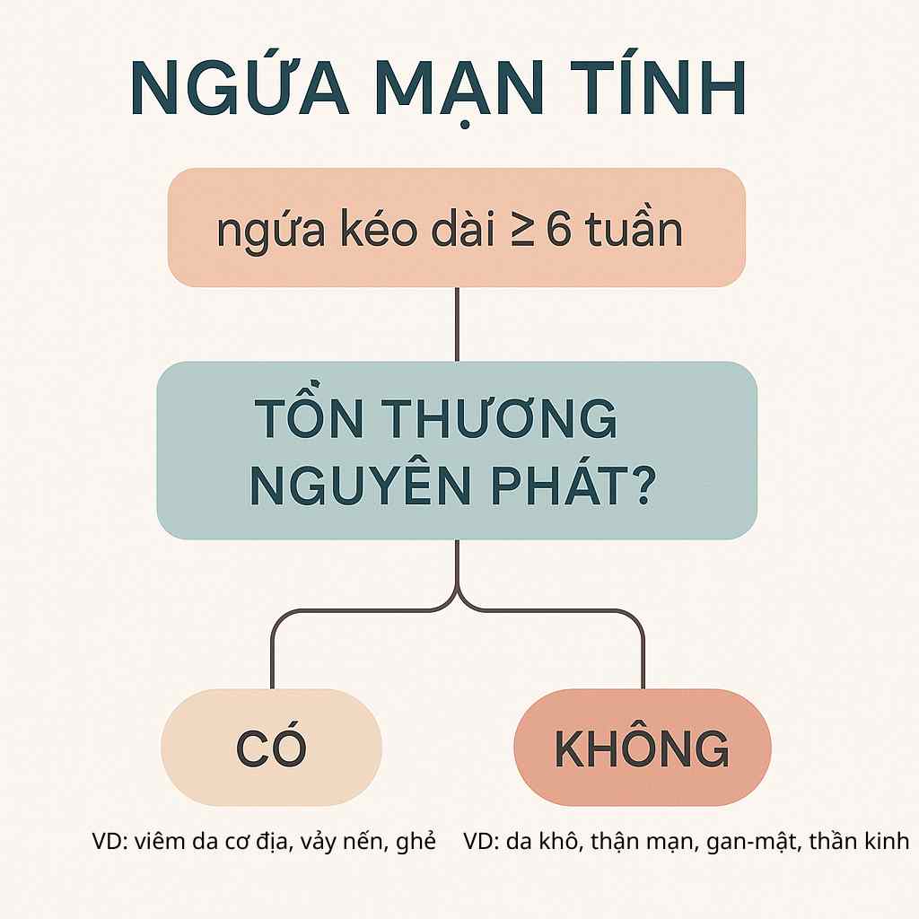 dinh-nghia-ngua-man-tinh.jpg Sơ đồ giải thích ngứa mạn tính ≥6 tuần và dấu hiệu cảnh báo.