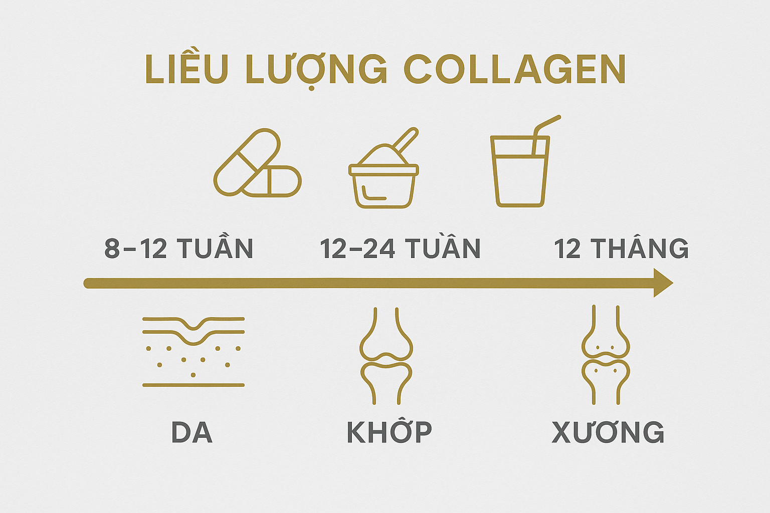 nfographic biểu đồ liều lượng collagen (2.5&ndash;15 g/ng&agrave;y) theo mục ti&ecirc;u da &ndash; khớp &ndash; xương v&agrave; hướng dẫn chọn sản phẩm đạt chuẩn kiểm nghiệm.