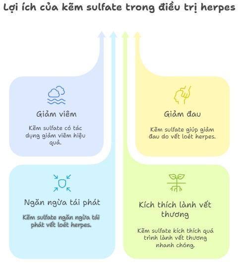 H&igrave;nh ảnh m&ocirc; tả lợi &iacute;ch của kẽm sulfate trong điều trị herpes, bao gồm giảm vi&ecirc;m, giảm đau, ngăn ngừa t&aacute;i ph&aacute;t v&agrave; k&iacute;ch th&iacute;ch l&agrave;nh vết thương nhanh ch&oacute;ng.