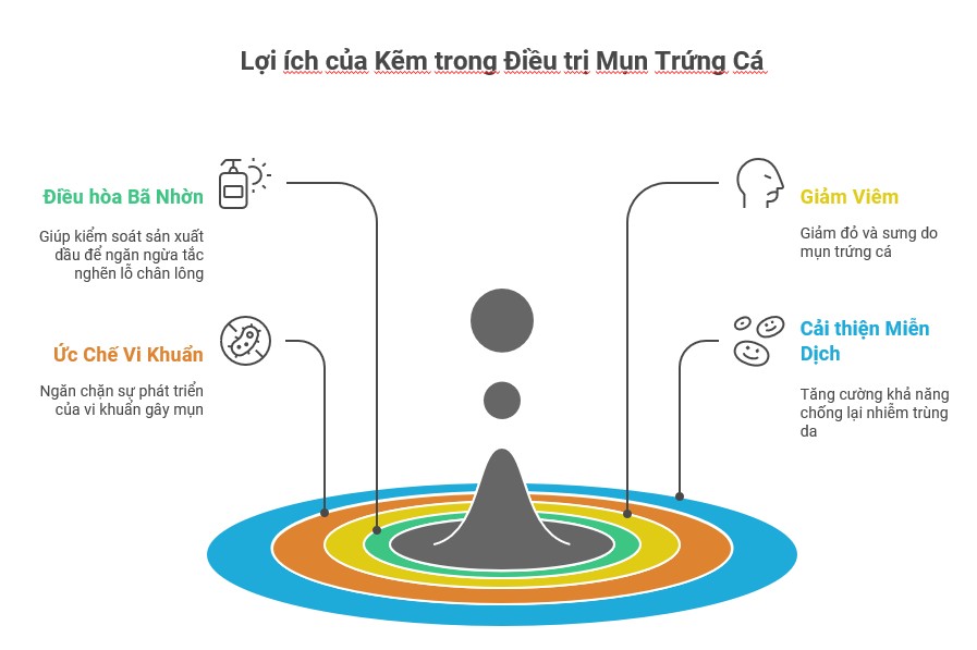 H&igrave;nh ảnh minh họa lợi &iacute;ch của kẽm trong điều trị mụn trứng c&aacute;, bao gồm việc điều h&ograve;a b&atilde; nhờn, ức chế vi khuẩn, giảm vi&ecirc;m v&agrave; cải thiện miễn dịch, gi&uacute;p điều trị mụn hiệu quả.