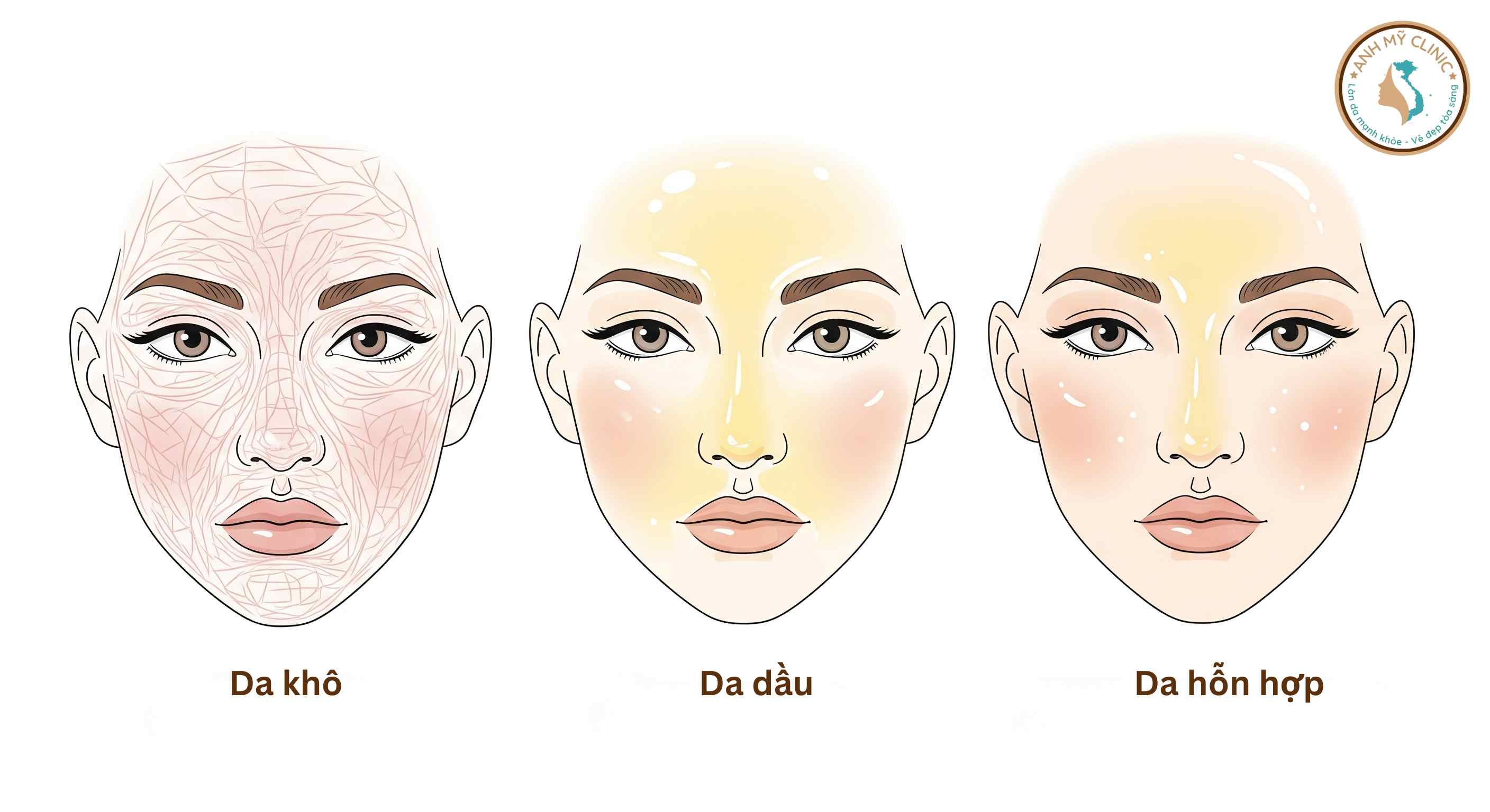 Ph&acirc;n biệt v&agrave; chăm s&oacute;c da kh&ocirc;, da dầu, v&agrave; da hỗn hợp.