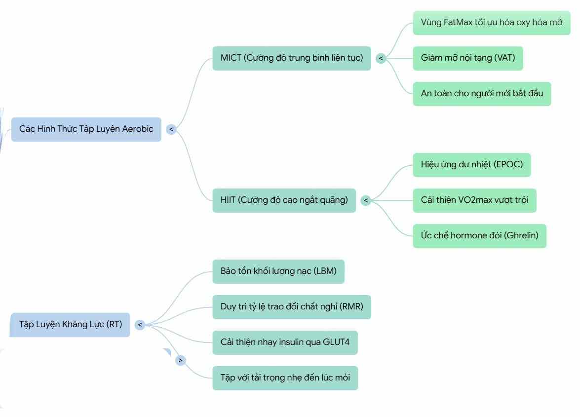 Sơ đồ tư duy ph&acirc;n loại c&aacute;c h&igrave;nh thức tập luyện Aerobic (MICT, HIIT) v&agrave; Tập luyện kh&aacute;ng lực (RT), chi tiết về lợi &iacute;ch giảm mỡ nội tạng, hiệu ứng EPOC, cải thiện VO2max v&agrave; độ nhạy Insulin qua GLUT4.