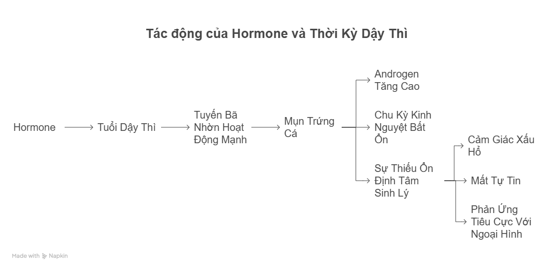 tac-dong-cua-hormon-va-thoi-ky-day-thi-vao-cao-xuoc.png Tác động của Hormone và Thời Kỳ Dậy Thì Vào Cào Xước