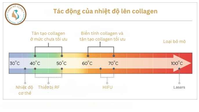 Tác động của nhiệt độ lên collagen