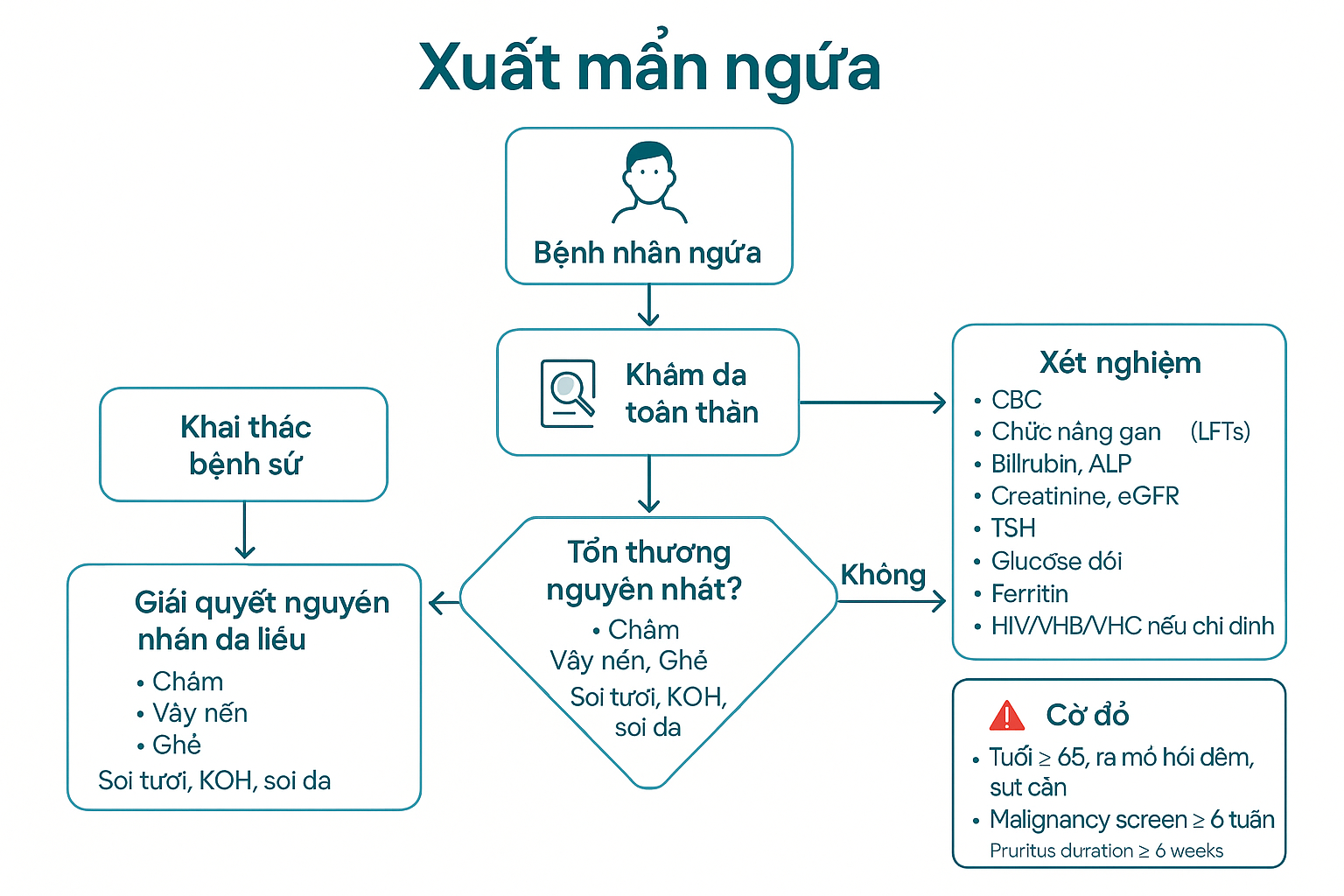 Lưu đồ hỏi bệnh, kh&aacute;m v&agrave; x&eacute;t nghiệm ngứa.