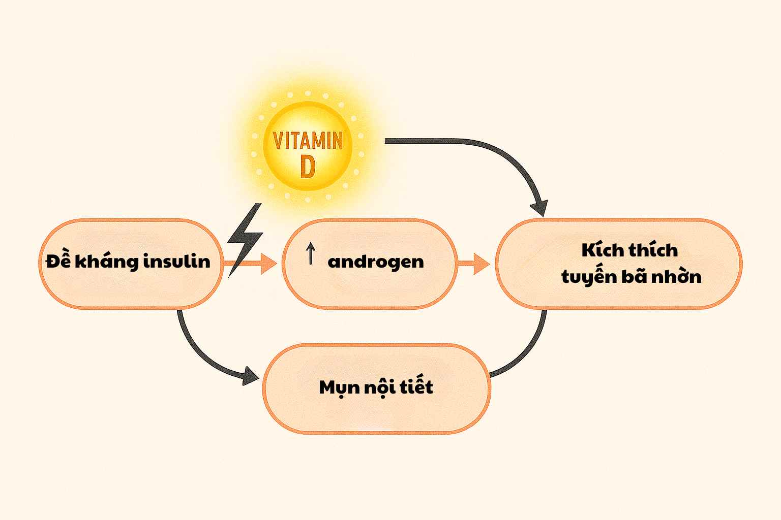 Cơ chế hỗ trợ của việc uống vitamin D trị mụn nội tiết th&ocirc;ng qua việc cải thiện độ nhạy insulin.