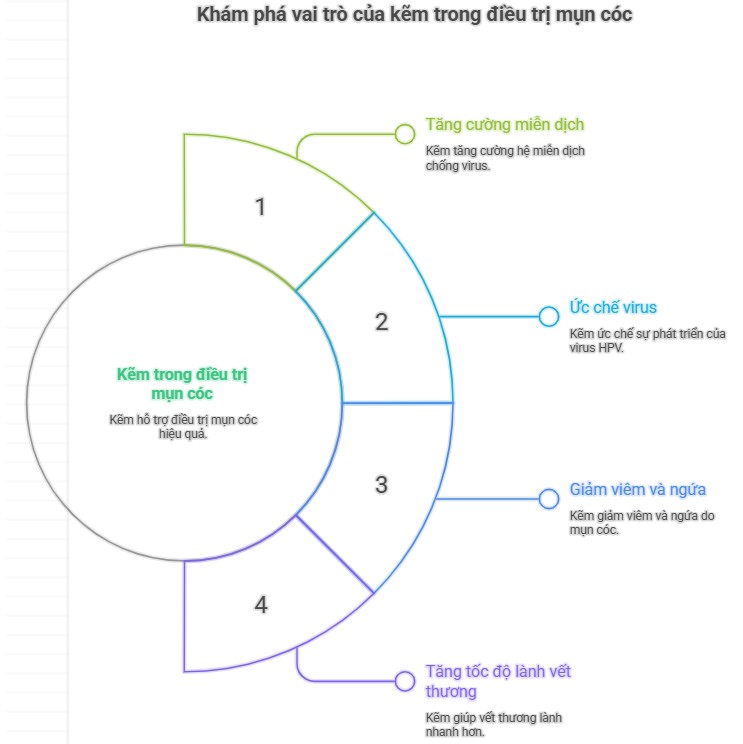 H&igrave;nh ảnh m&ocirc; tả vai tr&ograve; của Kẽm trong điều trị mụn c&oacute;c, bao gồm việc tăng cường miễn dịch, ức chế virus HPV, giảm vi&ecirc;m v&agrave; ngứa, v&agrave; tăng tốc độ l&agrave;nh vết thương.