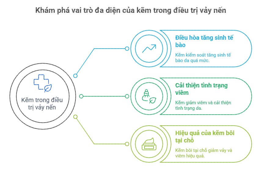 H&igrave;nh ảnh m&ocirc; tả vai tr&ograve; của kẽm trong điều trị vảy nến, bao gồm việc điều h&ograve;a tăng sinh tế b&agrave;o, cải thiện t&igrave;nh trạng vi&ecirc;m v&agrave; hiệu quả khi sử dụng kẽm b&ocirc;i tại chỗ.