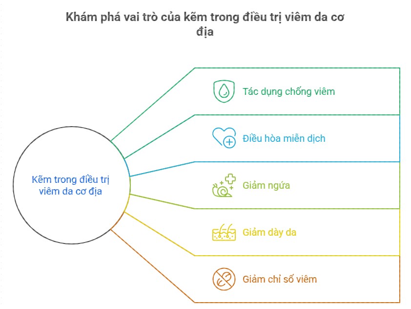 H&igrave;nh ảnh m&ocirc; tả c&aacute;c lợi &iacute;ch của kẽm trong điều trị vi&ecirc;m da cơ địa, bao gồm t&aacute;c dụng chống vi&ecirc;m, điều h&ograve;a miễn dịch, giảm ngứa, giảm d&agrave;y da v&agrave; giảm chỉ số vi&ecirc;m.