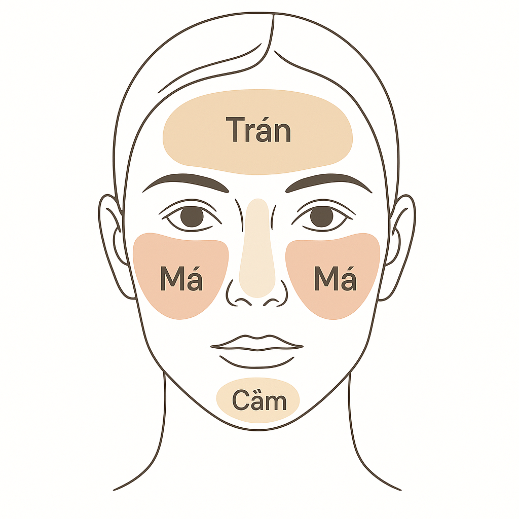 Vị trí nám thường gặp trên mặt