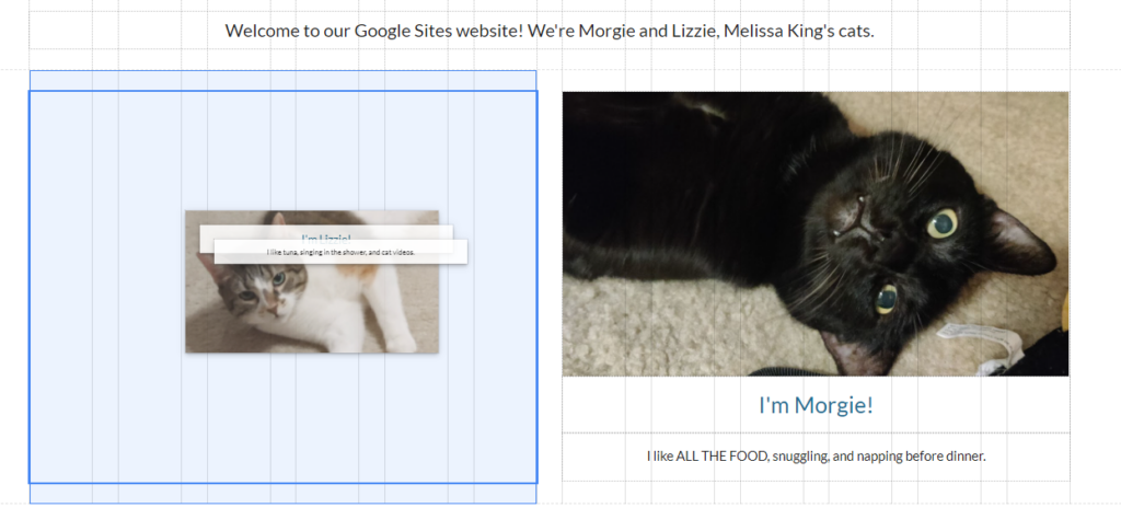 tao-landing-page-bang-gg-site-6.png?v=1 tùy chỉnh bố cục landing page