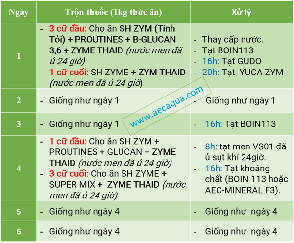 Phác đồ điều trị bệnh phân trắng, phân lỏng, đứt khúc trên tôm