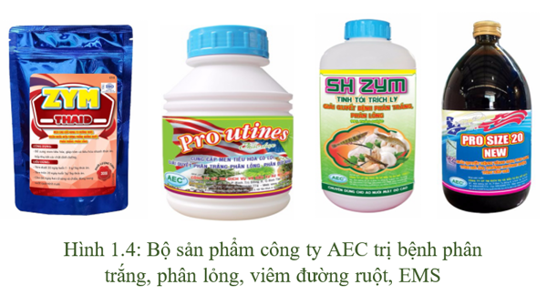 Bộ sản phẩm trị phân trắng trên tôm
