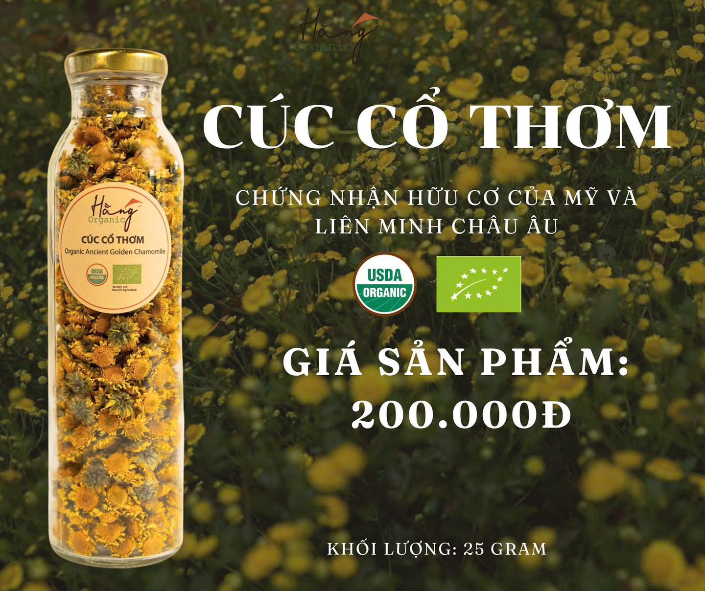 HOA CÚC THƠM SẤY HỮU CƠ