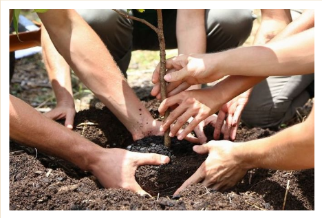 hanh-trinh-eco-2017.png?v=1