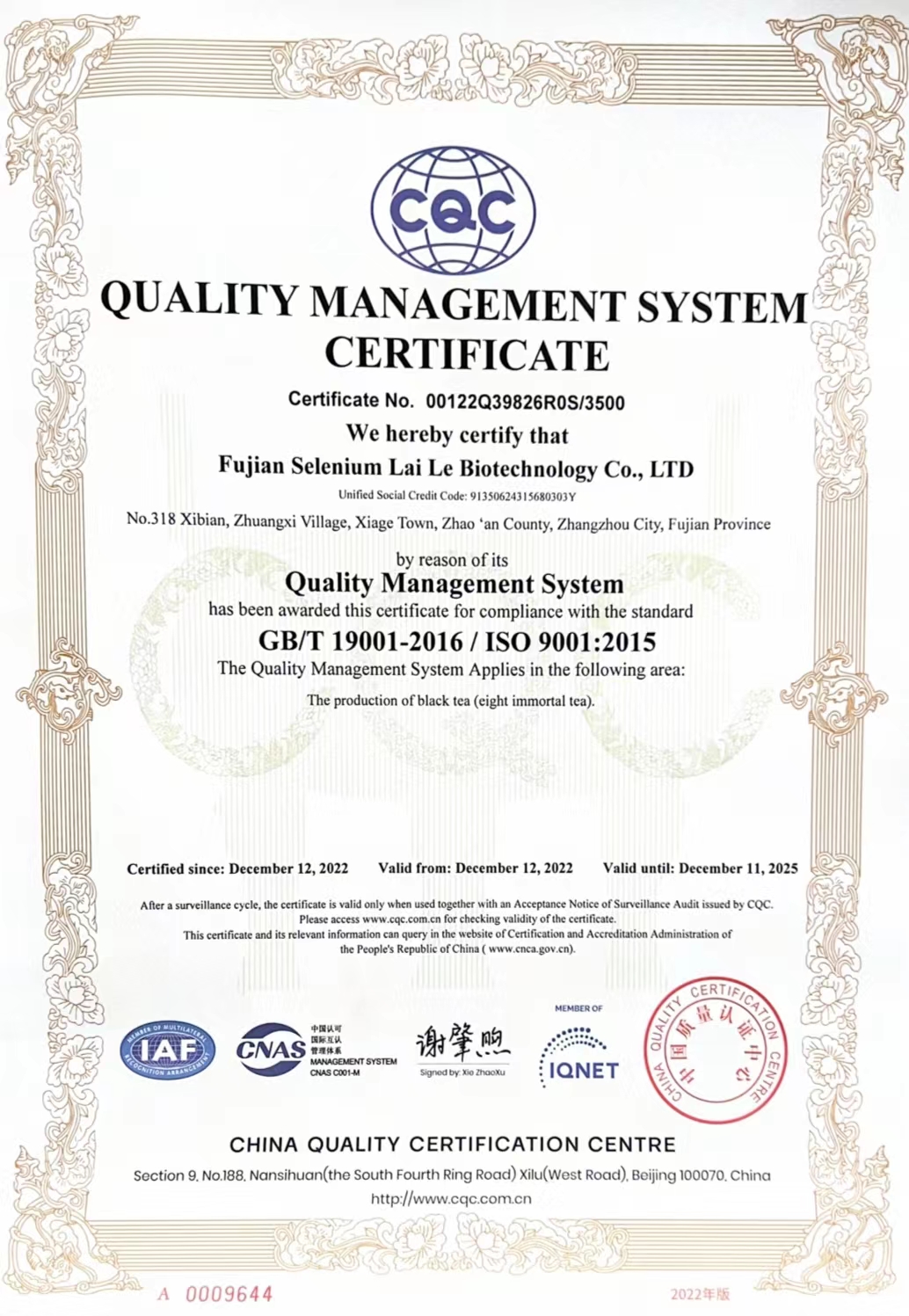 iso9001-ban-tieng-anh.jpg?v=1