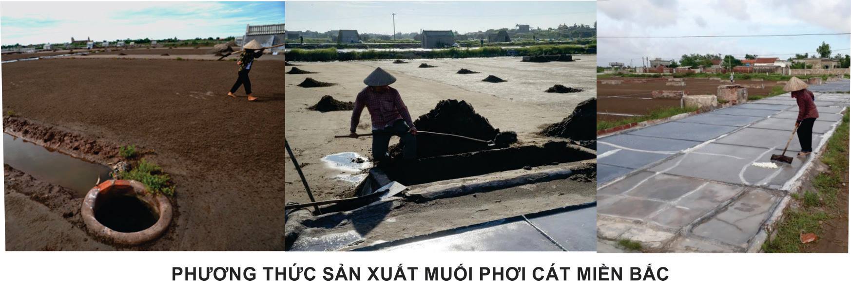 muoi-bien-phoi-cat-co-truyen-2.jpg?v=1