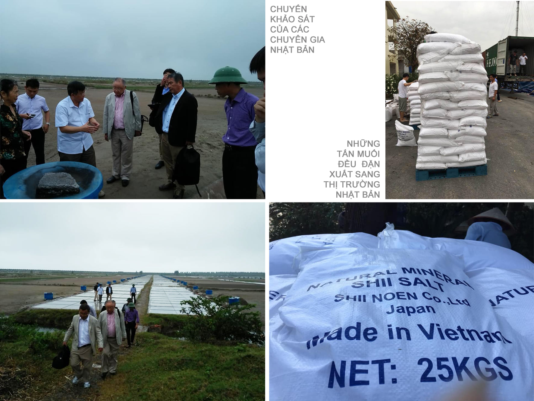 muoi-bien-phoi-cat-co-truyen-4.jpg?v=1