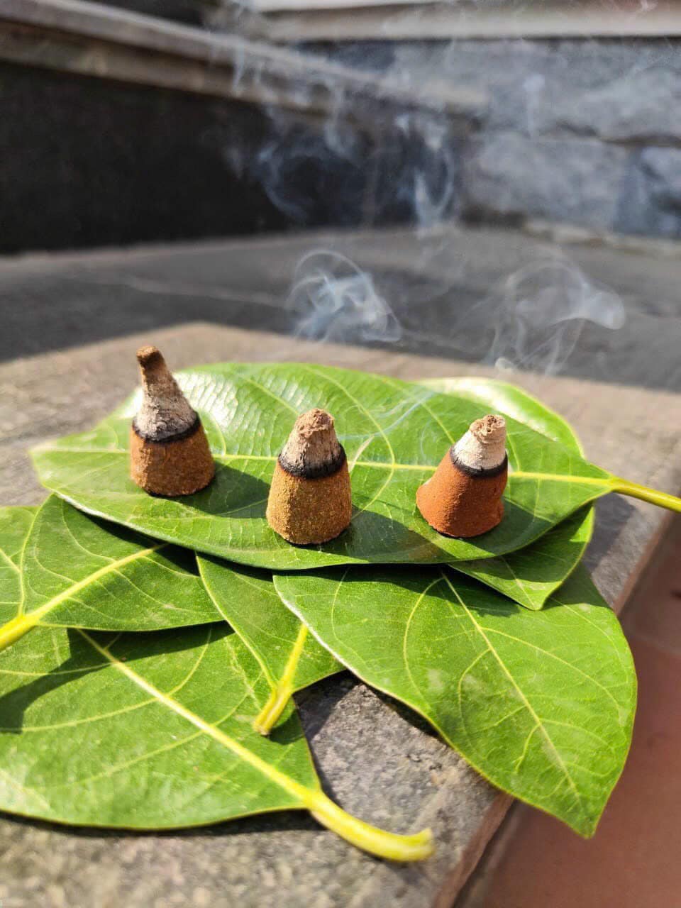 Nụ xông nhà thảo dược Vietket