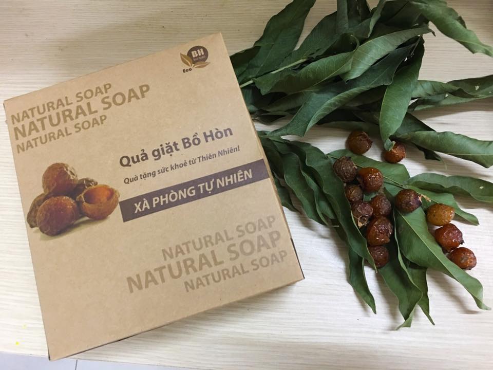 Quả giặt bồ hòn nguyên hạt ( hộp 1kg )