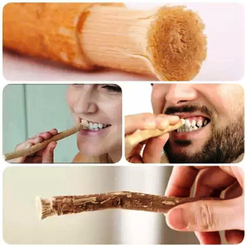 Cây Gỗ Đánh Răng Miswak