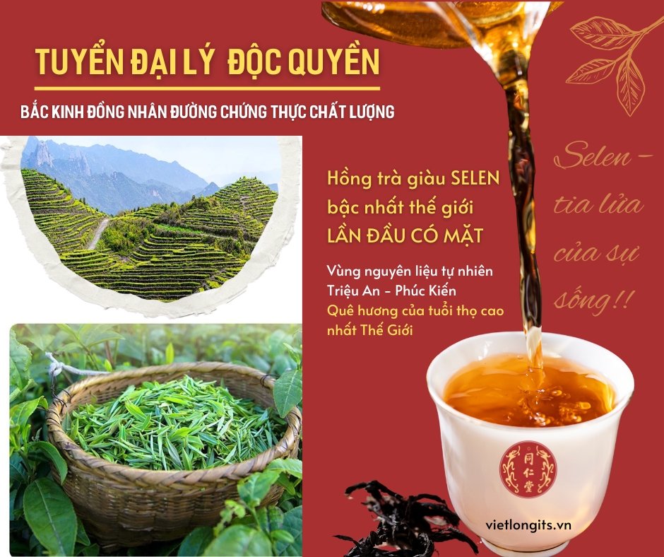 Thư mời Đại lý độc quyền sản phẩm Hồng trà giàu Selen Bắc Kinh Đồng Nhân Đường