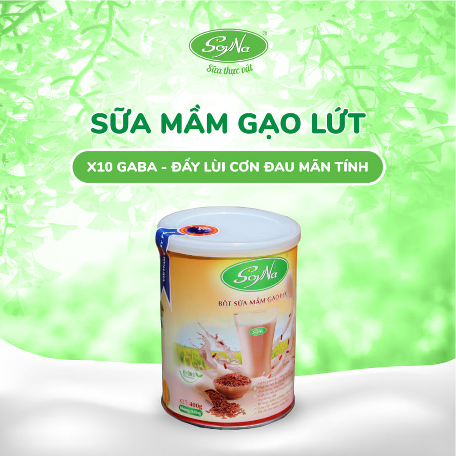 Sữa mầm gạo lứt 400g