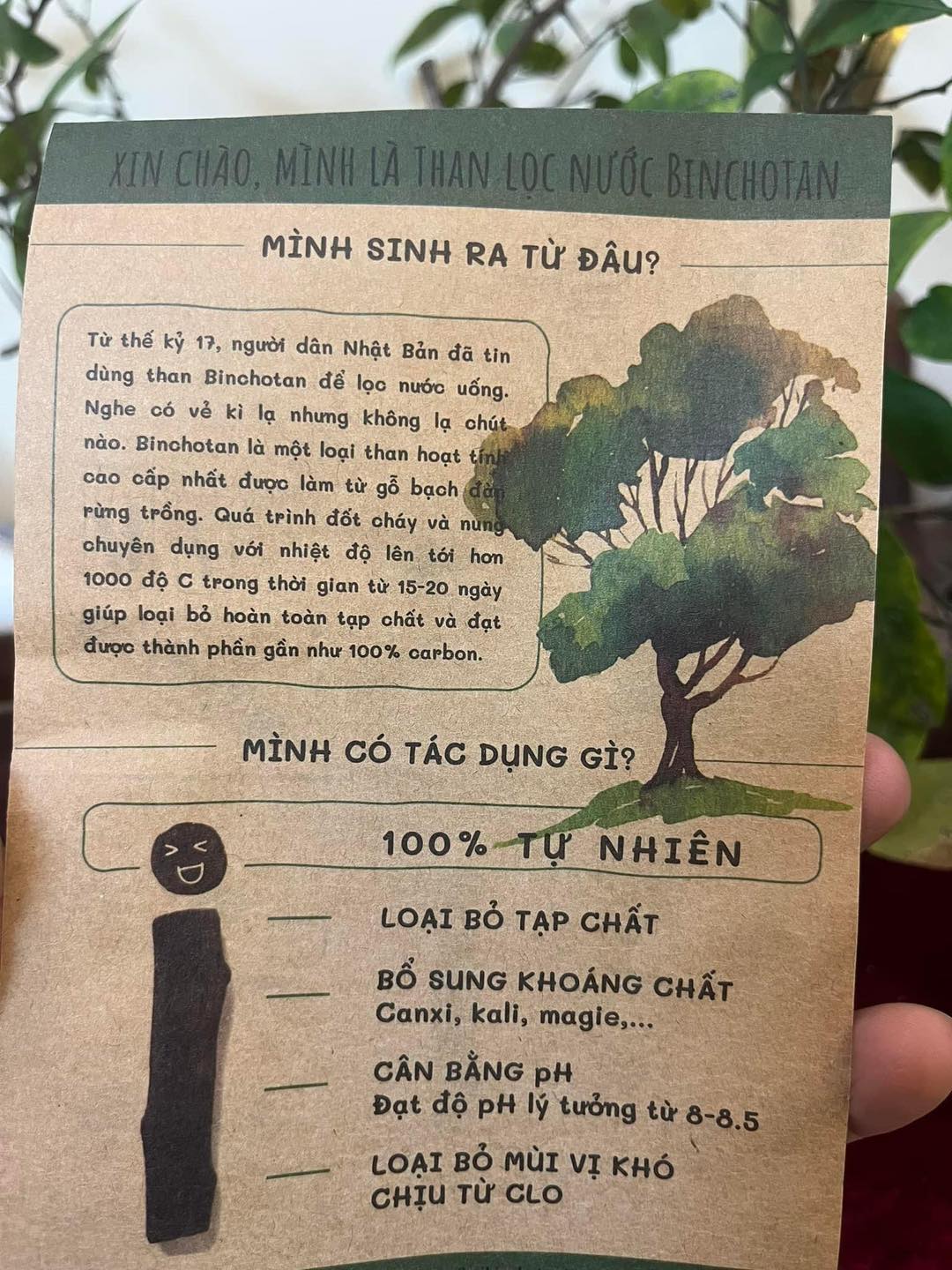 than-koi-binchotan-2.jpg?v=1