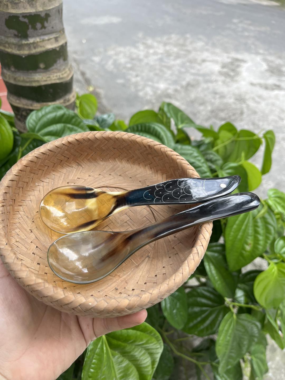 Thìa Sừng