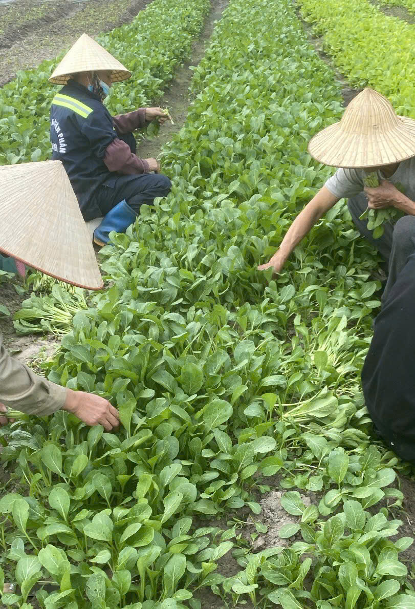 z6285782475956-c3ade4f1fd65e8ce36f2f7e12002355b.jpg?v=1