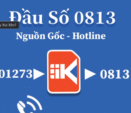 Đầu số 0813 là mạng gì? Những ý nghĩa bí ẩn cần nên biết