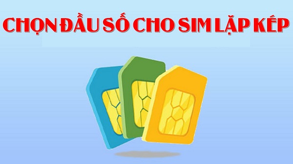 Khám phá cách chọn lựa đầu số cho sim Lặp Kép