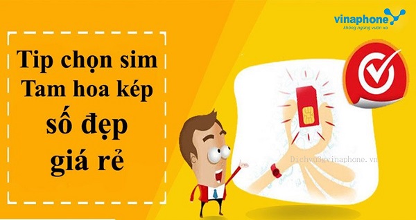 Chọn sim số tam hoa kép theo đầu số nhà mạng nào tốt nhất?