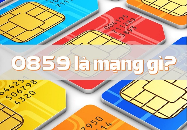 Tìm hiểu thông tin về sim đầu số 0859 - Cách đăng ký sim số đẹp với đầu 0859