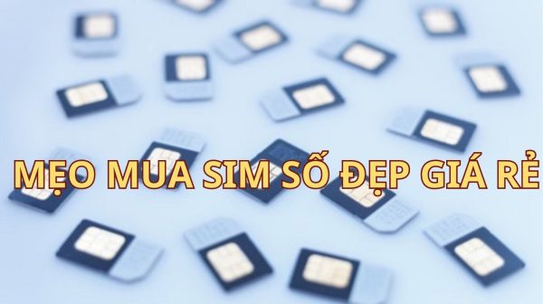 Khám phá các mẹo đặc biệt giúp người dùng mua sim số đẹp giá rẻ