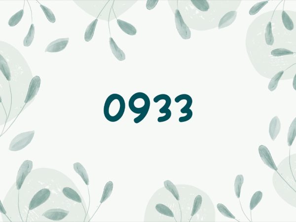 Ý nghĩa sim đầu số 0933 - Địa chỉ mua sim 0933 uy tín