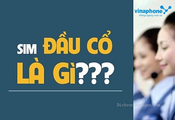 Cách đặt mua sim đầu số cổ bạn nên biết