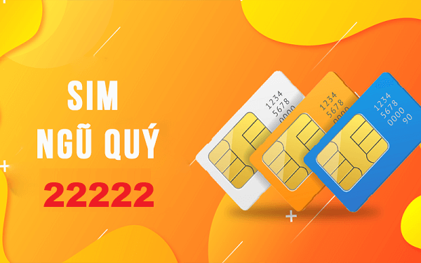 Khám phá dòng sim Ngũ quý 22222 siêu HOT hiện nay