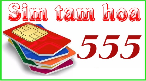Khám phá ý nghĩa đặc biệt sim Tam hoa 555 ít ai biết