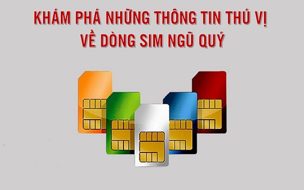 Những điều cần biết về sim Ngũ Quý mà bạn nên nắm rõ