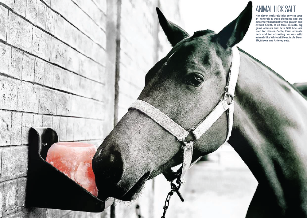 Muối Cho Vật Nuôi