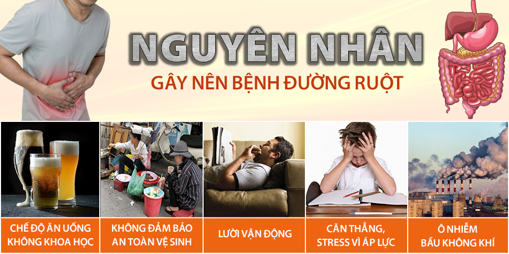 Nguyên nhân gây ra các bệnh liên quan đến đường tiêu hóa